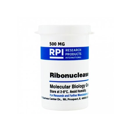 Rpi Ribonuclease A, 500 MG R21750-0.5